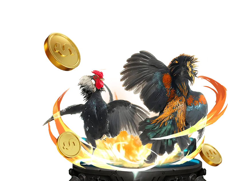 Các loại kèo cược đá gà tại 8OK